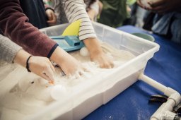 iMAGINE Upstate - 2018