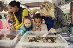 iMAGINE Upstate - 2018