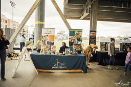 iMAGINE Upstate - 2018