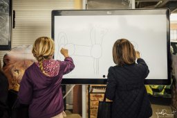 iMAGINE Upstate - 2018