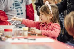 iMAGINE Upstate - 2018